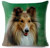 Cushion Covers - 100's of Breeds Available!