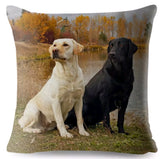 Cushion Covers - 100's of Breeds Available!