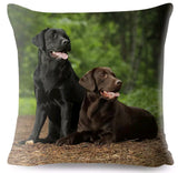 Cushion Covers - 100's of Breeds Available!