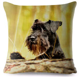 Cushion Covers - 100's of Breeds Available!