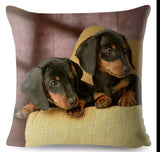 Cushion Covers - 100's of Breeds Available!