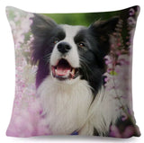 Cushion Covers - 100's of Breeds Available!