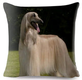 Cushion Covers - 100's of Breeds Available!