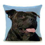 Cushion Covers - 100's of Breeds Available!