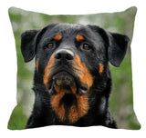 Cushion Covers - 100's of Breeds Available!