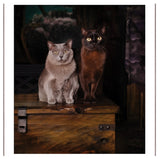 Greetings/Sympathy Cards Cats