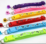 Puppy ID Collars "Dogs" Set of 6