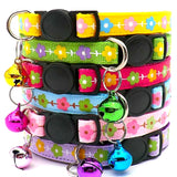 "Break Away" Puppy ID Collars Various Styles - Sets of 6