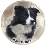 Stickers -- BREEDS A to C --Various Sizes from