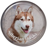 Stickers -- BREEDS Q to Z -- Various Sizes from