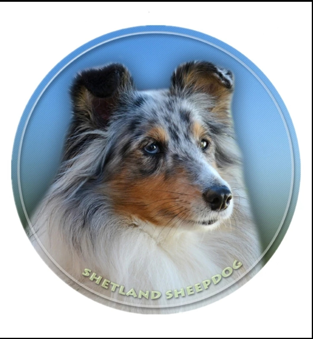 Stickers - Breeds Q to Z