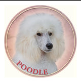 Stickers -- BREEDS M to P -- Various Sizes from