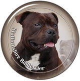 Stickers -- BREEDS Q to Z -- Various Sizes from