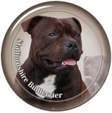 Stickers -- BREEDS Q to Z -- Various Sizes from