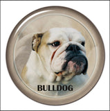 Stickers -- BREEDS A to C --Various Sizes from