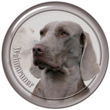 Stickers -- BREEDS Q to Z -- Various Sizes from