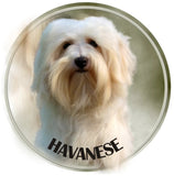 Stickers -- BREEDS A to C --Various Sizes from