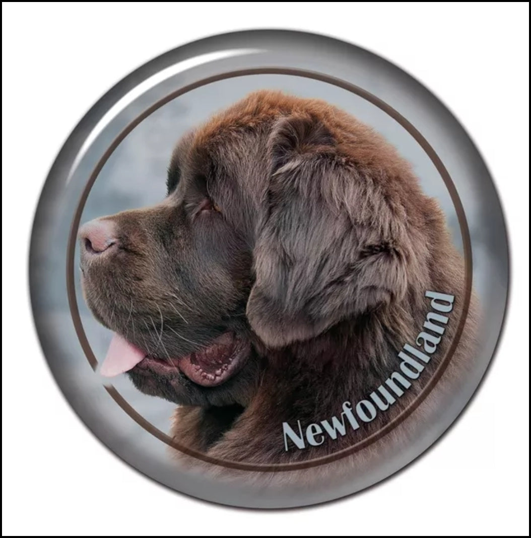 Stickers - Breeds M to P