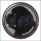 Stickers -- BREEDS M to P -- Various Sizes from