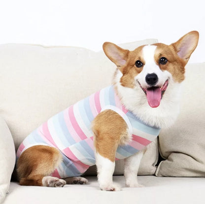 Recovery Suit Dog - Button Up - Small Dog