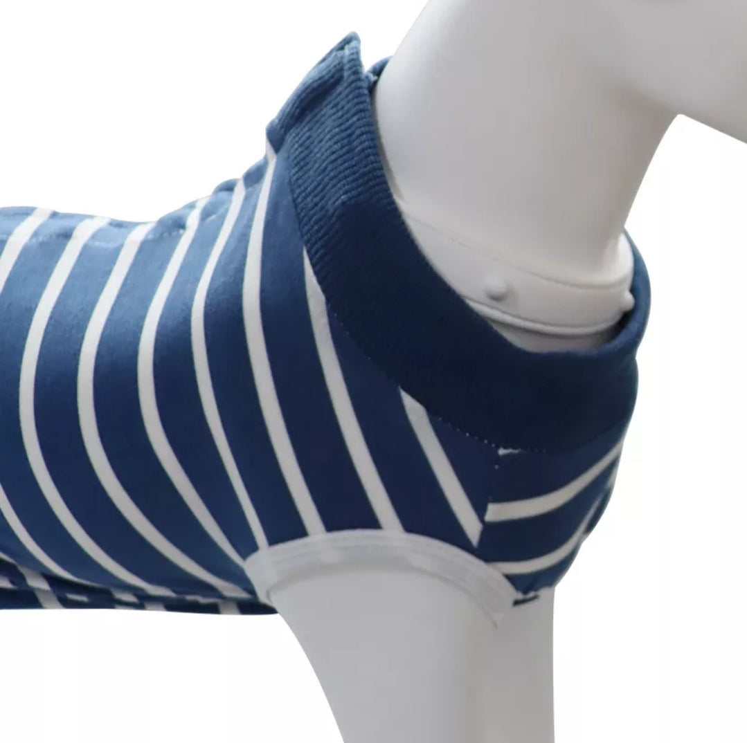 Recovery Suit Dog - Blue Stripe Snap Button