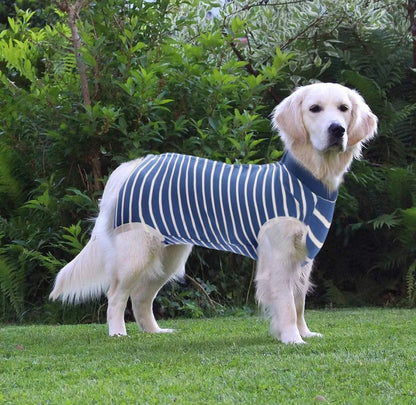 Recovery Suit Dog - Blue Stripe Snap Button