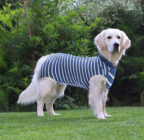 Blue Stripe Snap Button Dog Recovery Surgical Suits - Mastitis & Weaning - Small to Larger Dogs