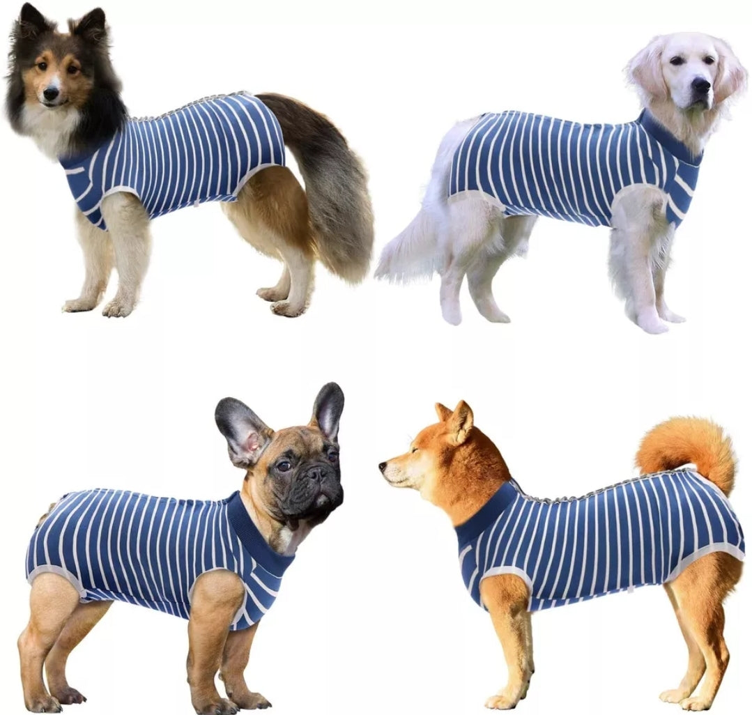Recovery Suit Dog - Blue Stripe Snap Button