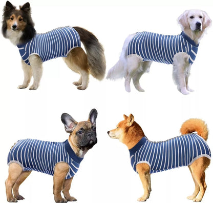 Recovery Suit Dog - Blue Stripe Snap Button