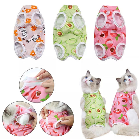 Cat deals surgical suit