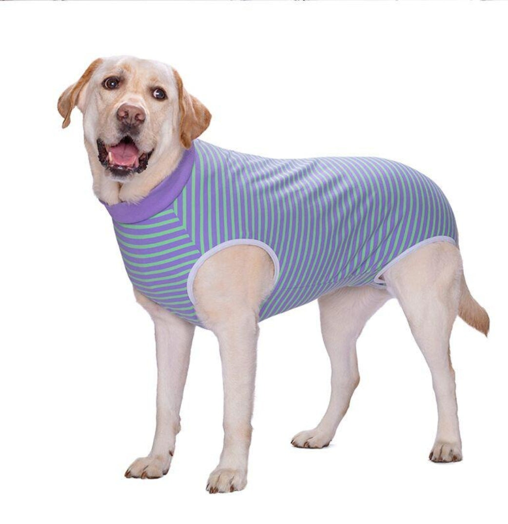 Recovery Suit Dog - Zip Up