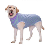 ZIP UP Dog Recovery Surgical Suits - Mastitis & Weaning - Medium to Extra Large Dogs