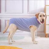 ZIP UP Dog Recovery Surgical Suits - Mastitis & Weaning - Medium to Extra Large Dogs
