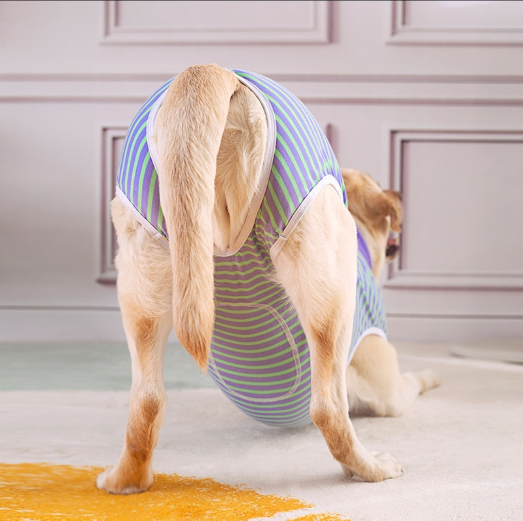 Recovery Suit Dog - Zip Up