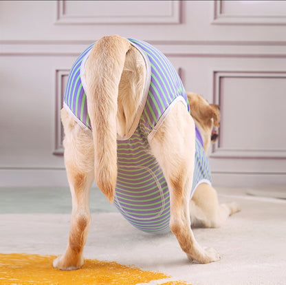 Recovery Suit Dog - Zip Up