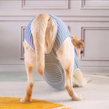 ZIP UP Dog Recovery Surgical Suits - Mastitis & Weaning - Medium to Extra Large Dogs