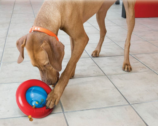 KONG Gyro Treat Toy