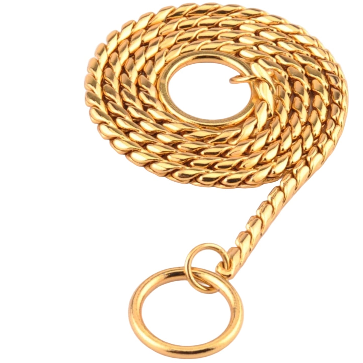 Gold show snake chain for dogs on a white background