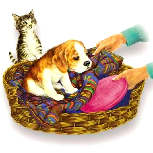 A heat pad being placed on a pet bed with a dog and a cat sitting on it