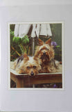 Greeting/Sympathy Cards Dogs - Many Designs!