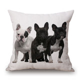 Cushion Covers - 100's of Breeds Available!