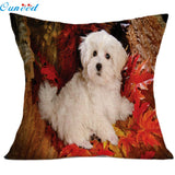 Cushion Covers - 100's of Breeds Available!