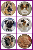 Stickers -- BREEDS M to P -- Various Sizes from