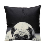 Cushion Covers - 100's of Breeds Available!