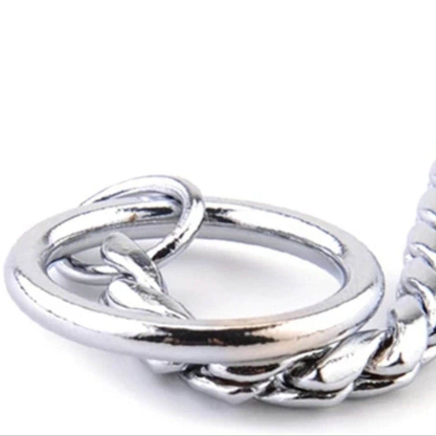 Silver ring on a dog snake chain on a white background