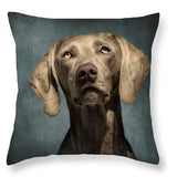 Cushion Covers - 100's of Breeds Available!