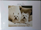 Greeting/Sympathy Cards Dogs - Many Designs!